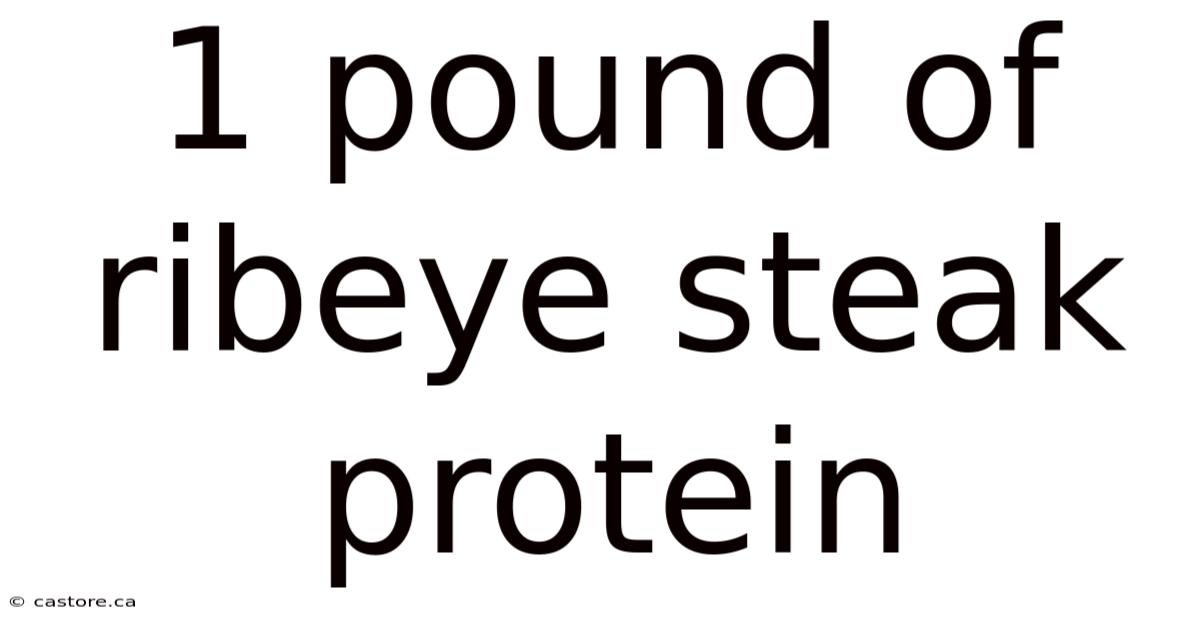 1 Pound Of Ribeye Steak Protein
