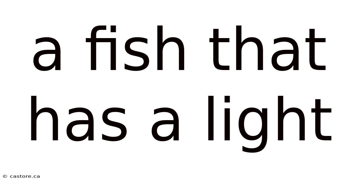 A Fish That Has A Light