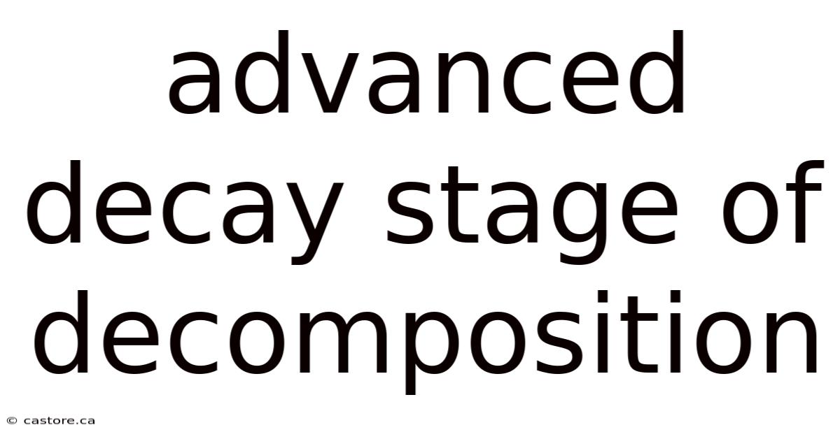 Advanced Decay Stage Of Decomposition