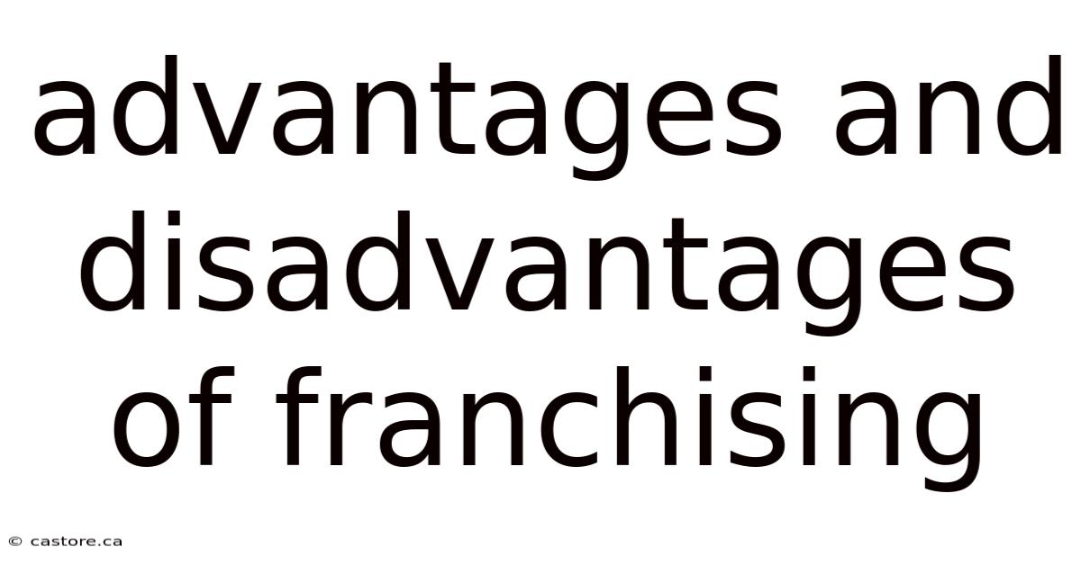 Advantages And Disadvantages Of Franchising