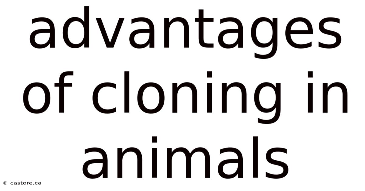 Advantages Of Cloning In Animals