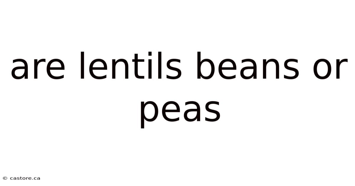 Are Lentils Beans Or Peas