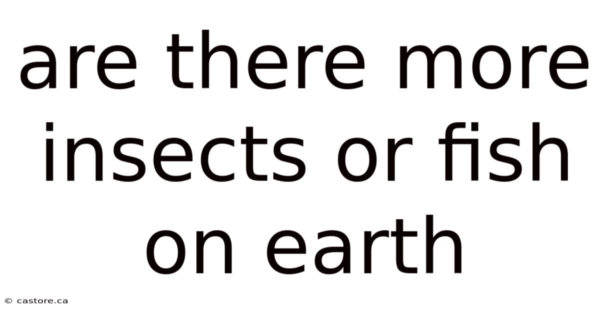 Are There More Insects Or Fish On Earth