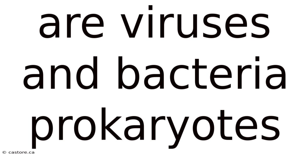Are Viruses And Bacteria Prokaryotes