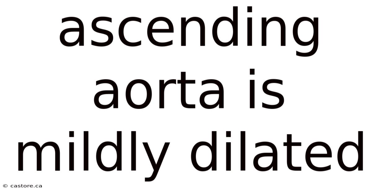 Ascending Aorta Is Mildly Dilated