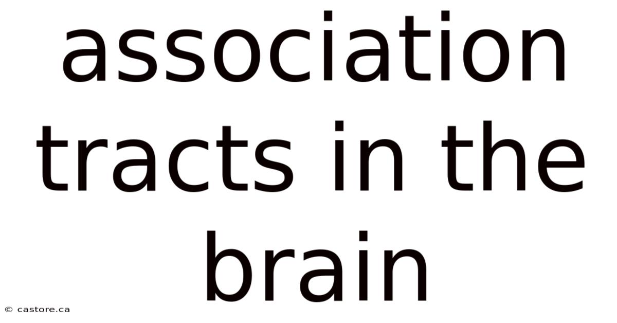 Association Tracts In The Brain