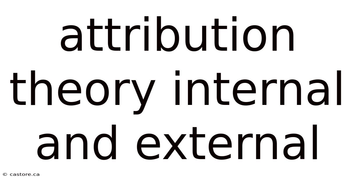 Attribution Theory Internal And External