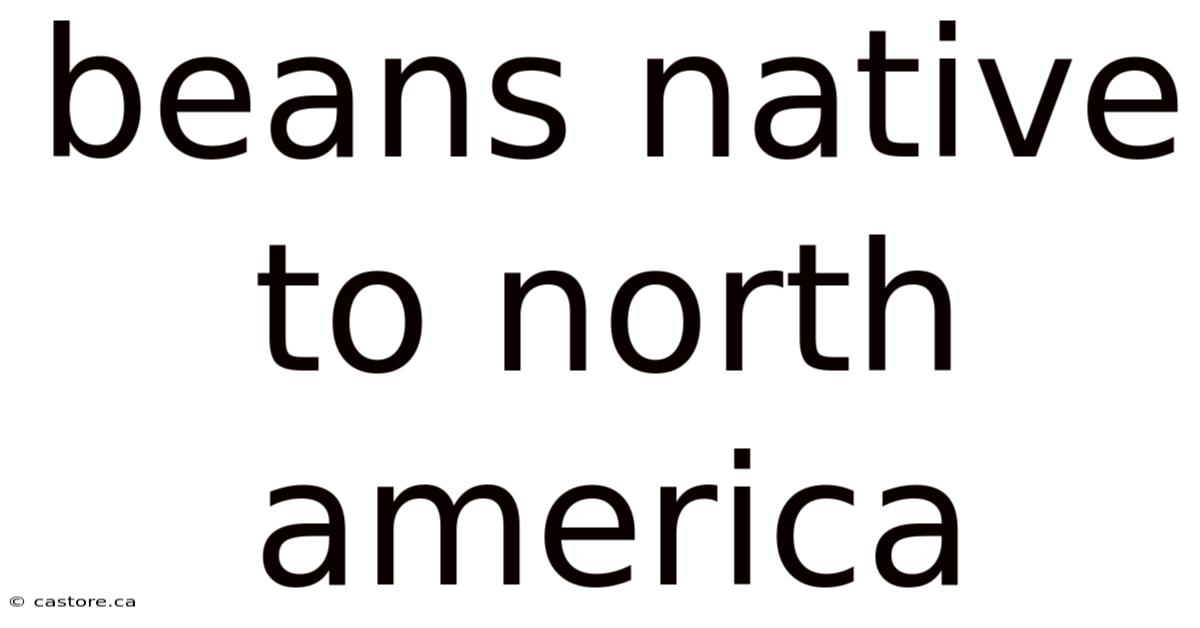 Beans Native To North America