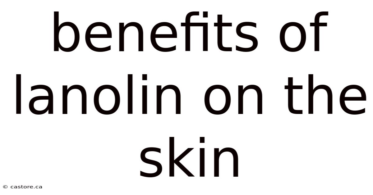 Benefits Of Lanolin On The Skin