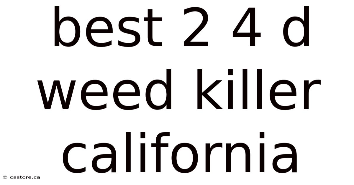 Best 2 4 D Weed Killer California