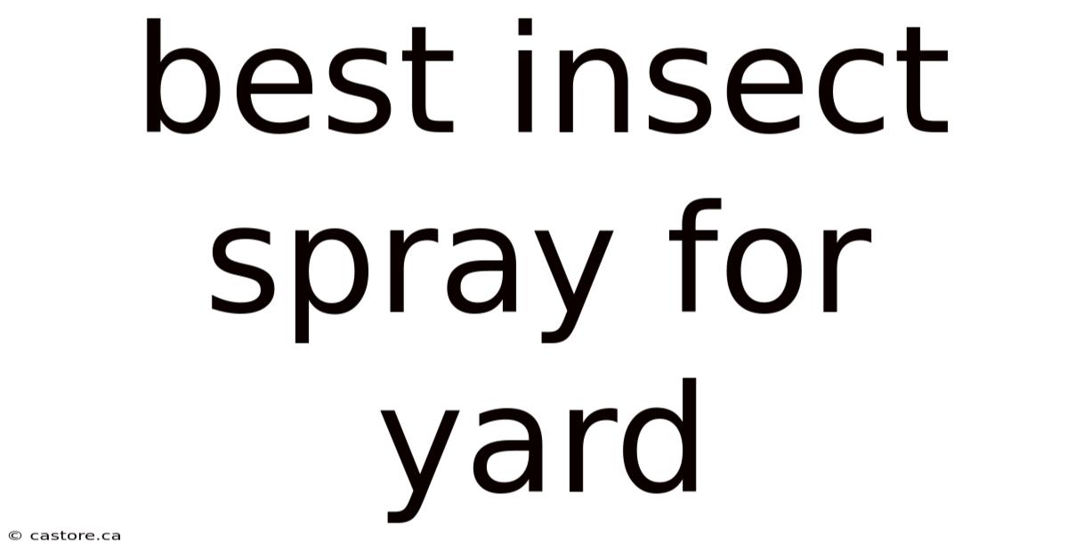 Best Insect Spray For Yard