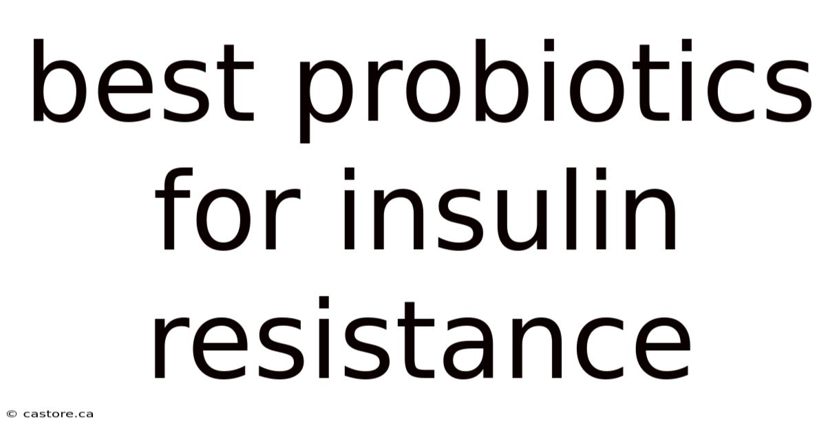 Best Probiotics For Insulin Resistance
