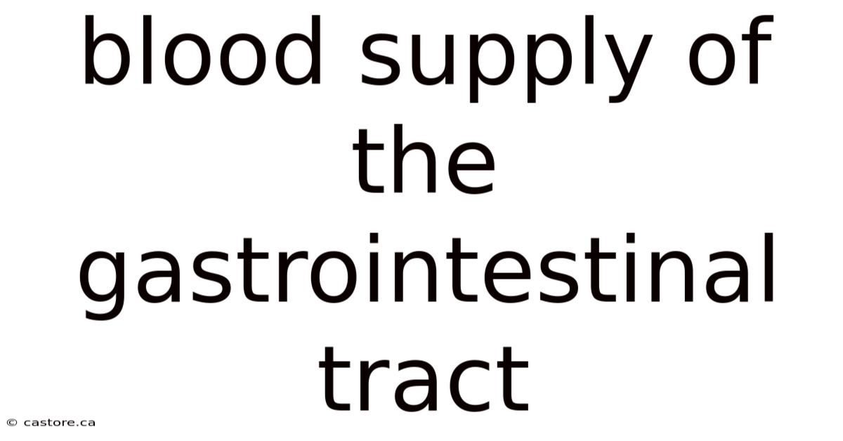 Blood Supply Of The Gastrointestinal Tract