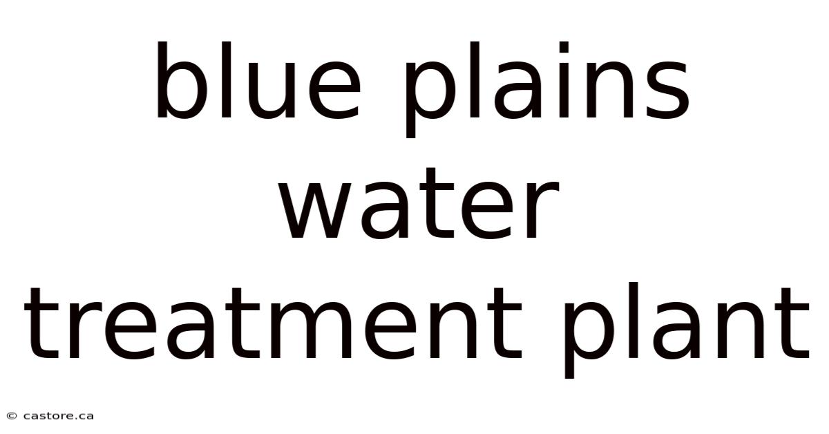 Blue Plains Water Treatment Plant