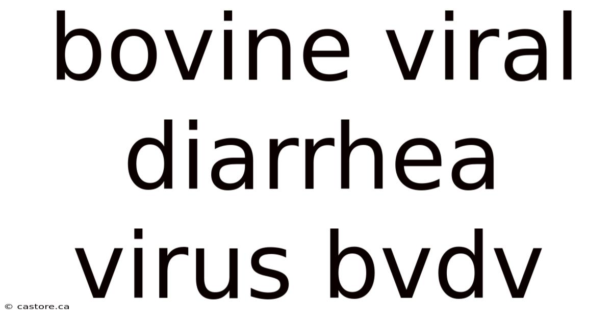 Bovine Viral Diarrhea Virus Bvdv