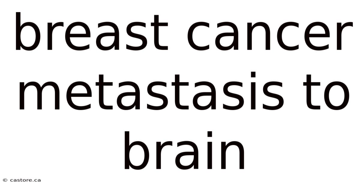 Breast Cancer Metastasis To Brain