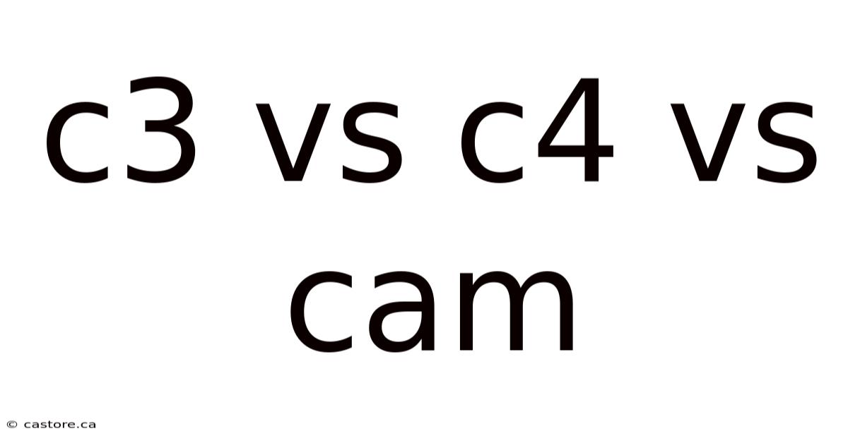 C3 Vs C4 Vs Cam