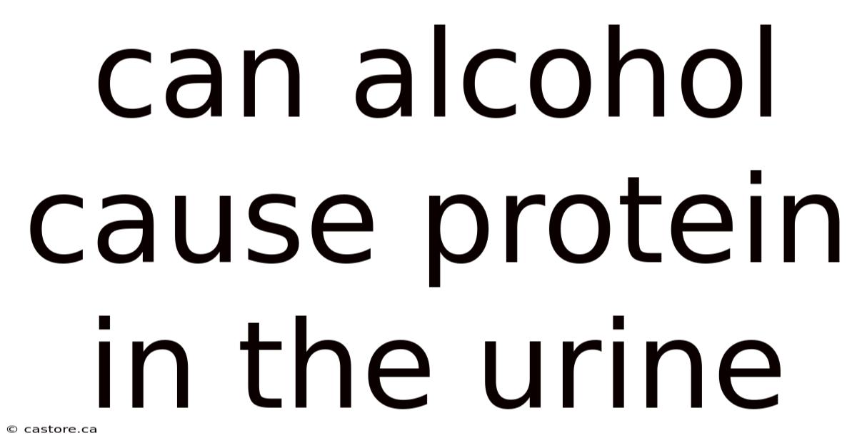 Can Alcohol Cause Protein In The Urine
