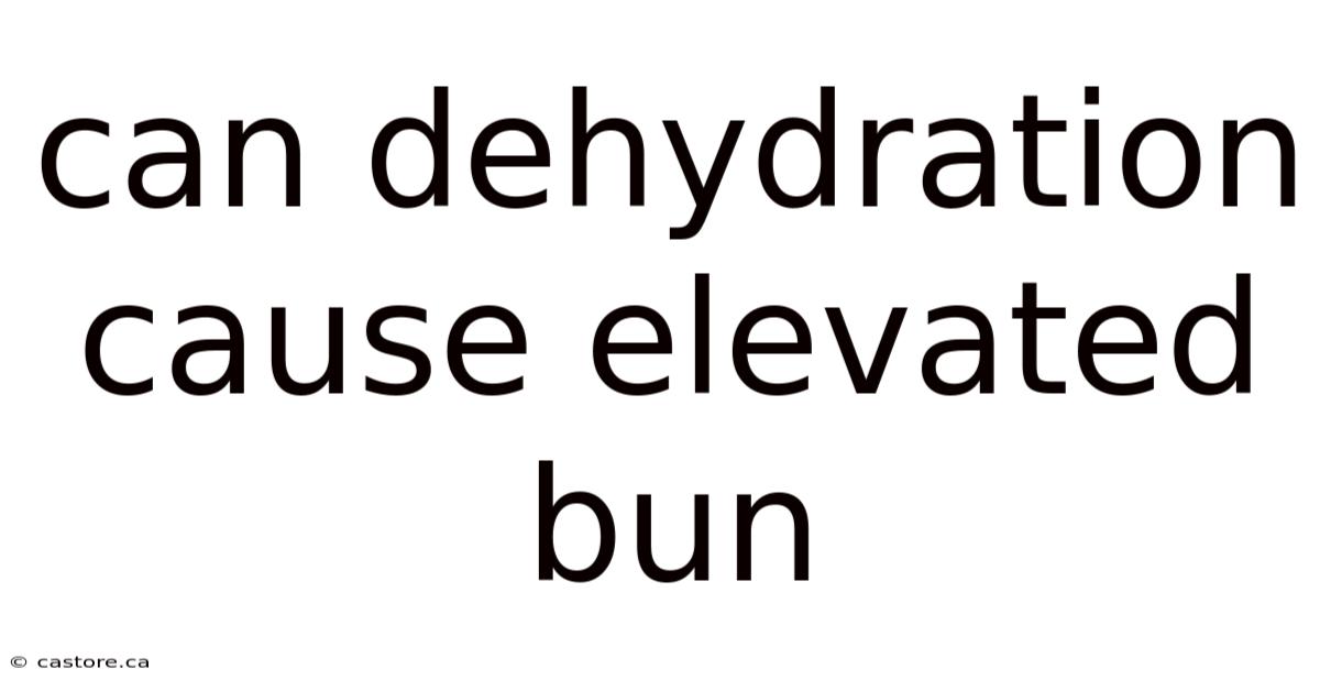Can Dehydration Cause Elevated Bun