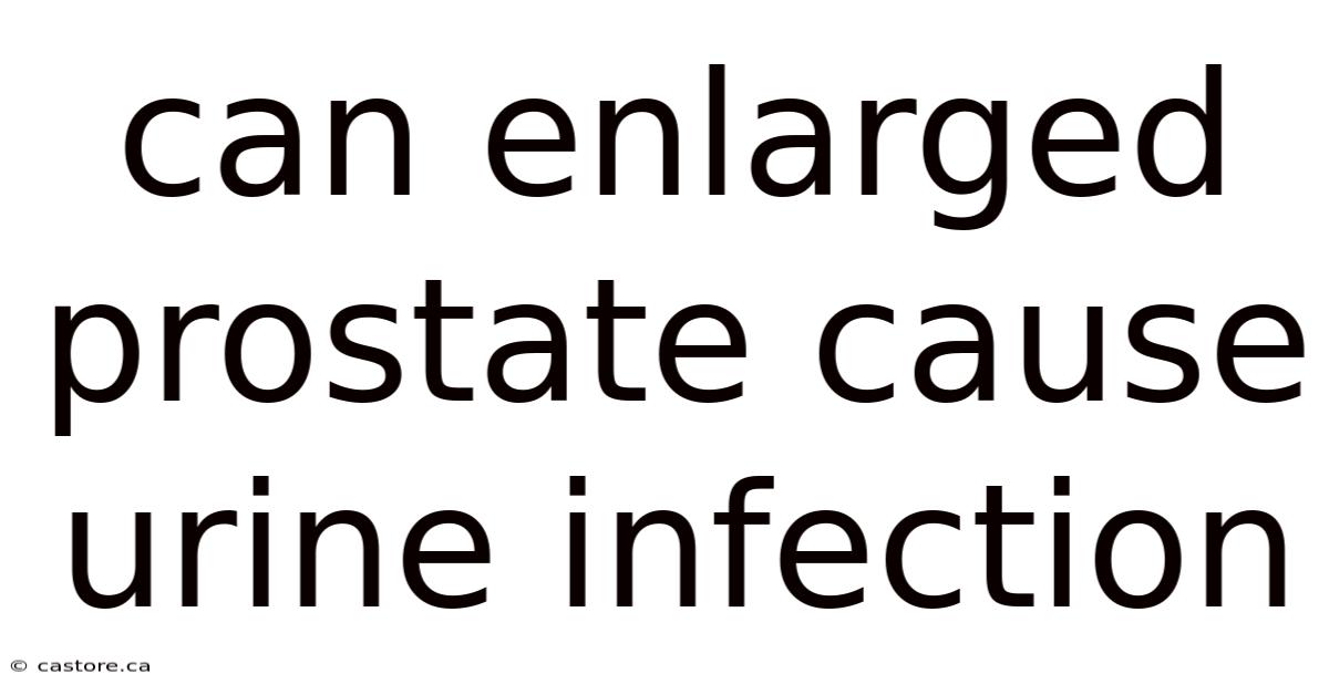 Can Enlarged Prostate Cause Urine Infection
