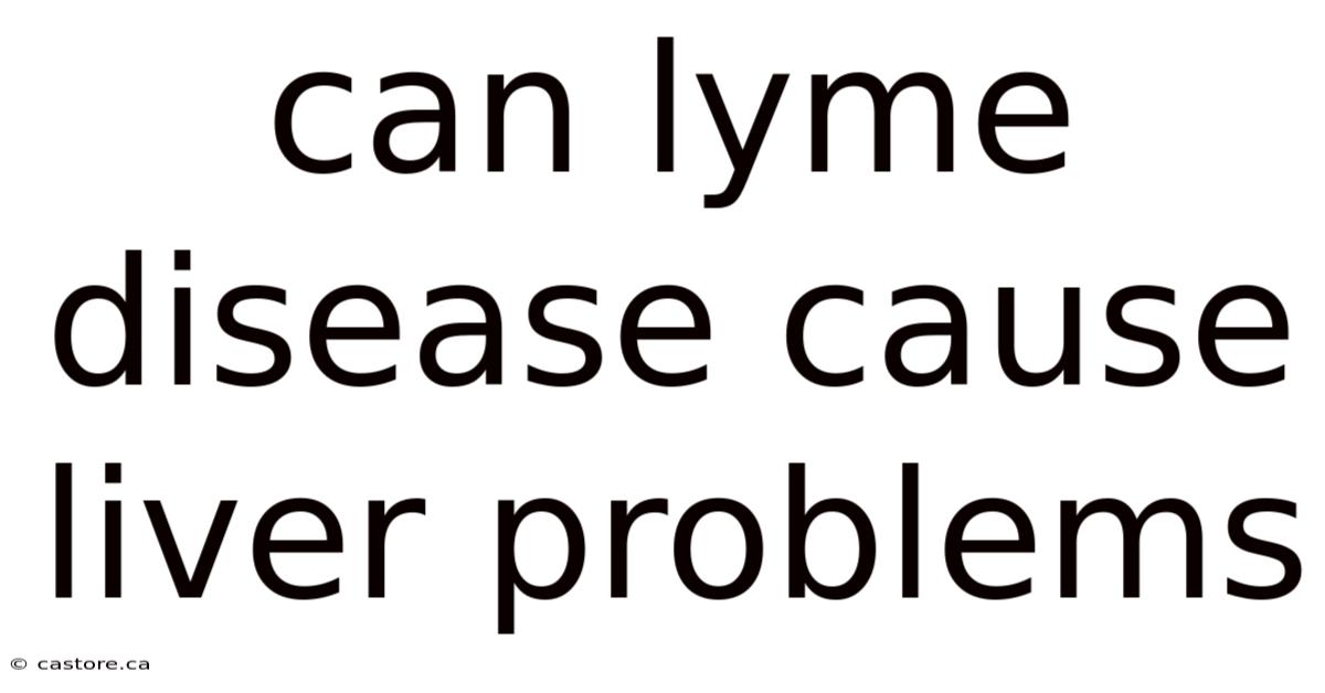 Can Lyme Disease Cause Liver Problems