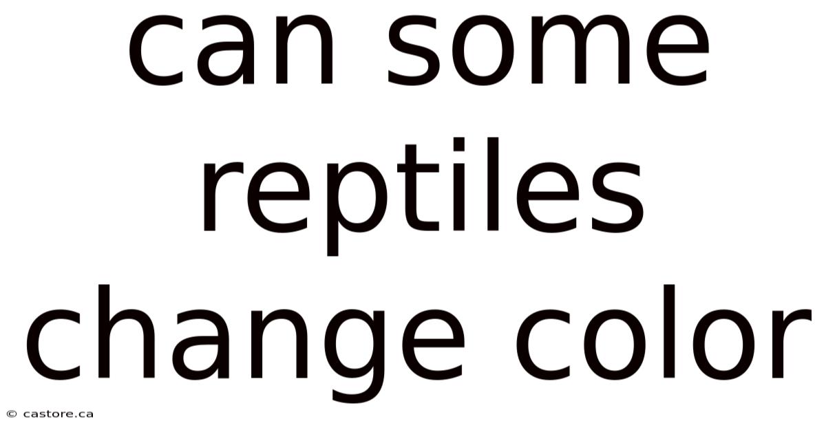 Can Some Reptiles Change Color
