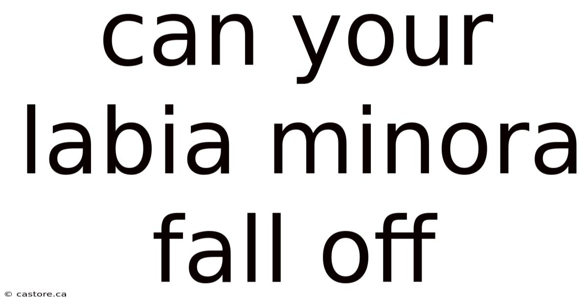 Can Your Labia Minora Fall Off