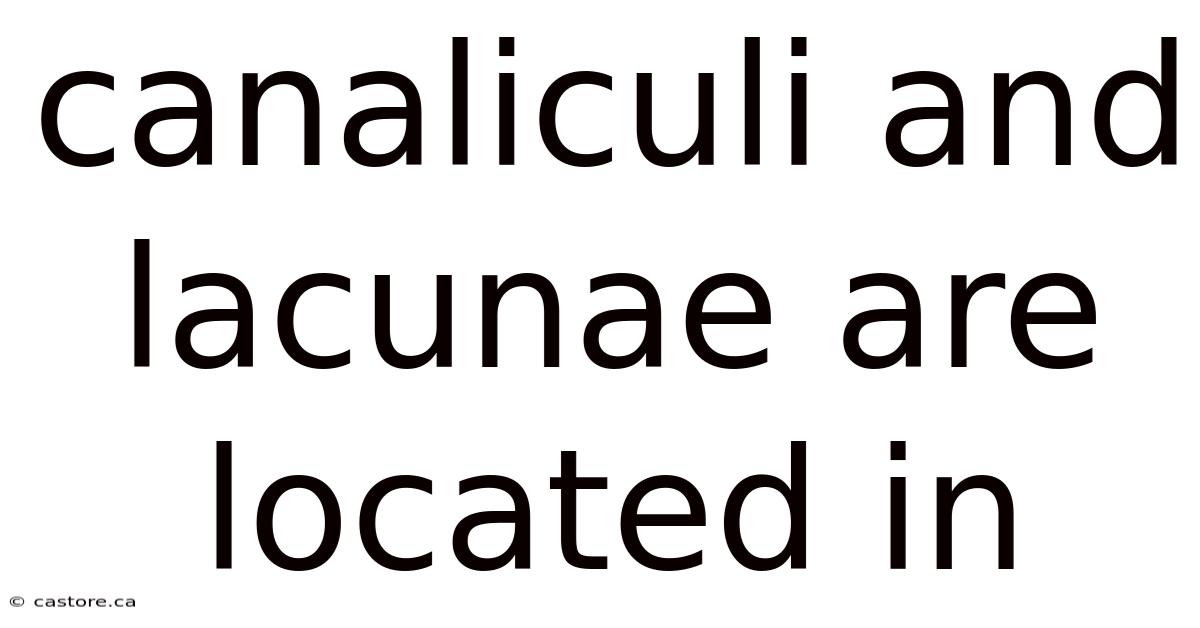 Canaliculi And Lacunae Are Located In