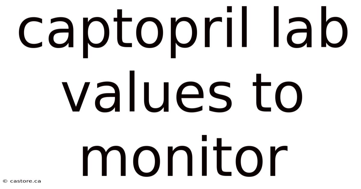 Captopril Lab Values To Monitor