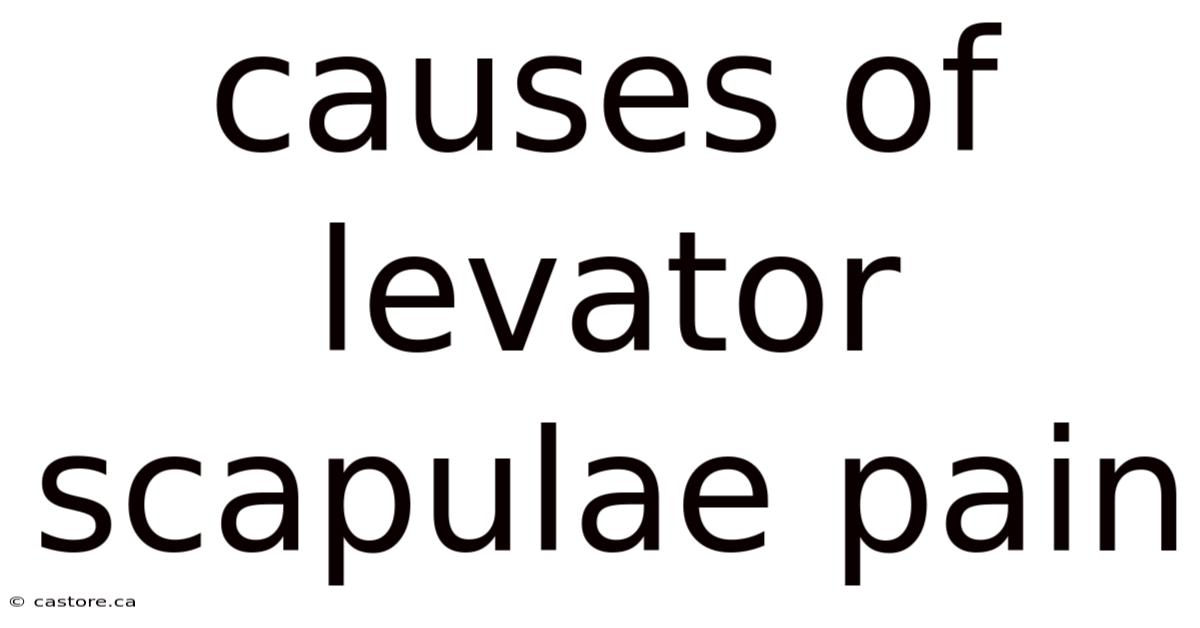 Causes Of Levator Scapulae Pain