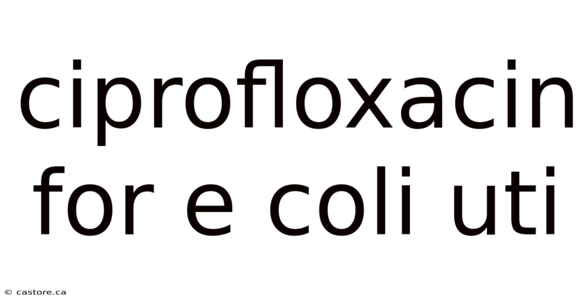 Ciprofloxacin For E Coli Uti