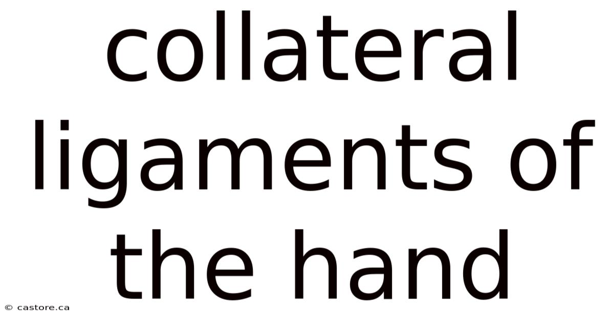 Collateral Ligaments Of The Hand