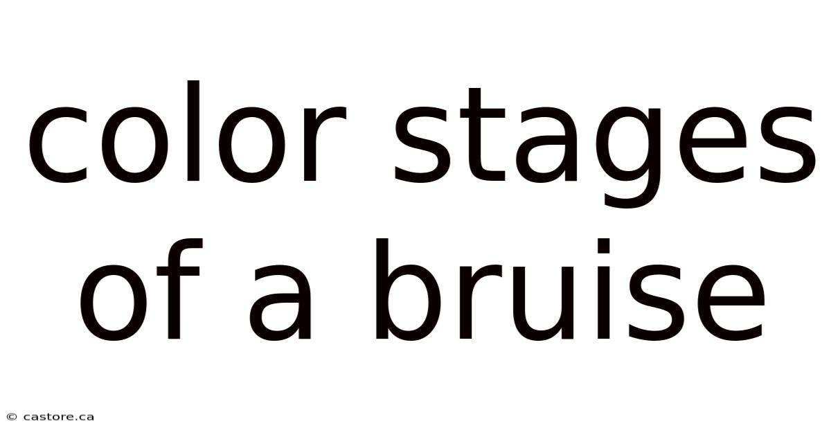Color Stages Of A Bruise