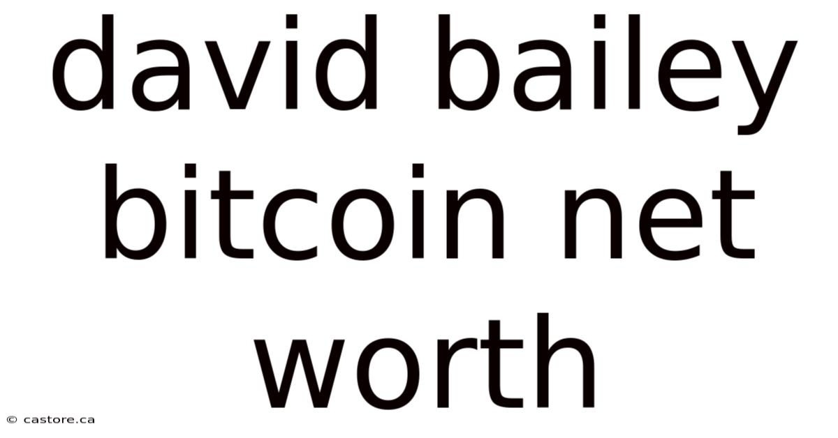 David Bailey Bitcoin Net Worth