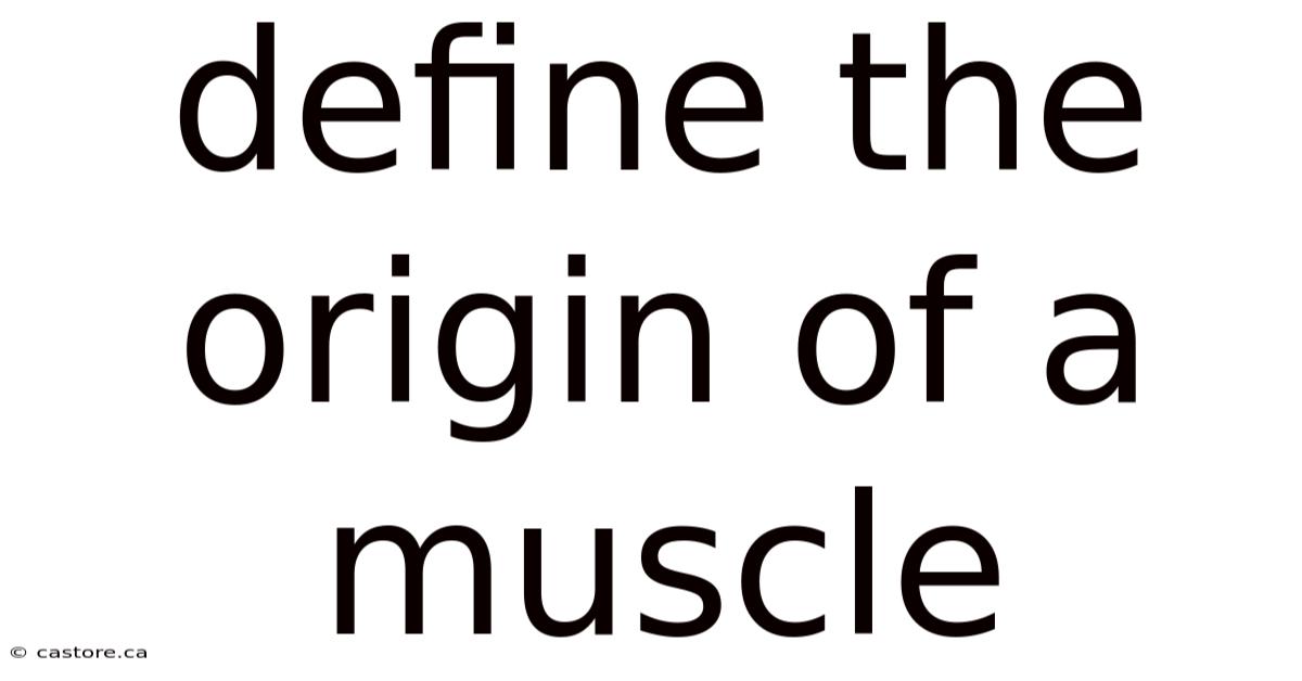 Define The Origin Of A Muscle
