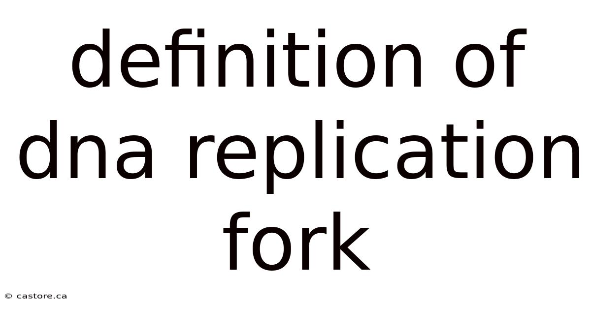 Definition Of Dna Replication Fork