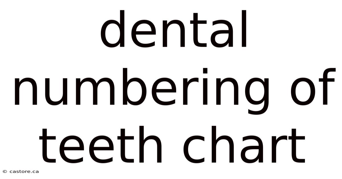Dental Numbering Of Teeth Chart
