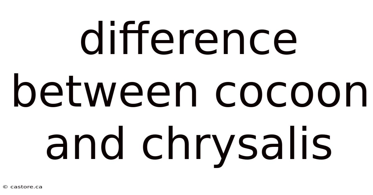 Difference Between Cocoon And Chrysalis