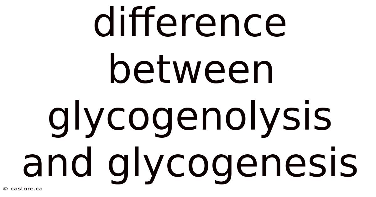 Difference Between Glycogenolysis And Glycogenesis