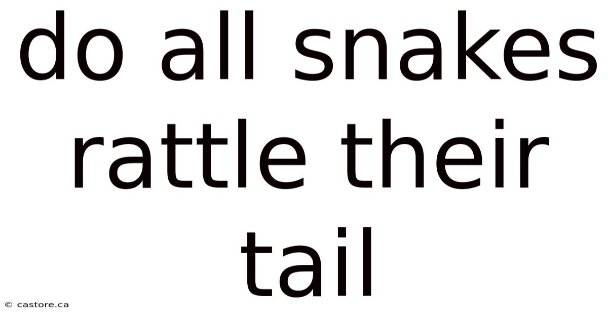 Do All Snakes Rattle Their Tail