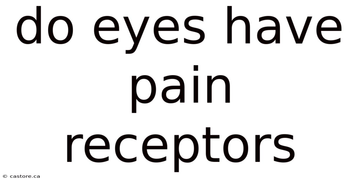 Do Eyes Have Pain Receptors