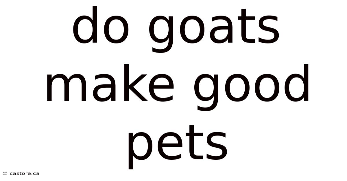 Do Goats Make Good Pets