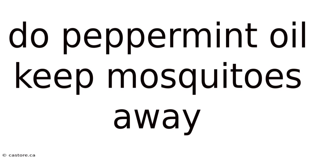 Do Peppermint Oil Keep Mosquitoes Away