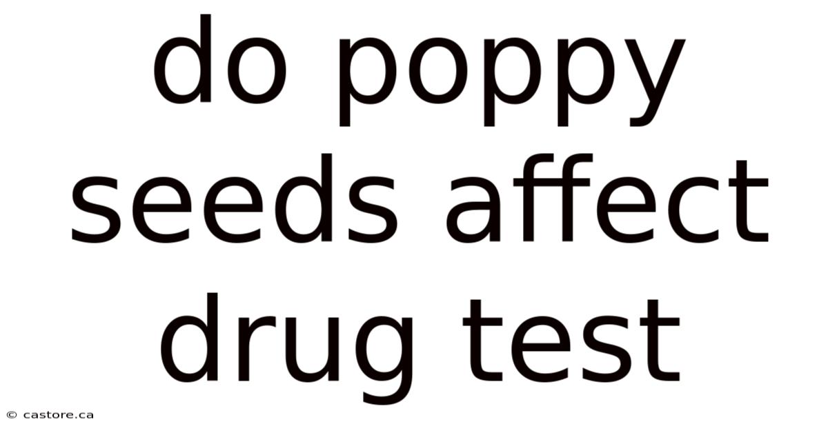 Do Poppy Seeds Affect Drug Test
