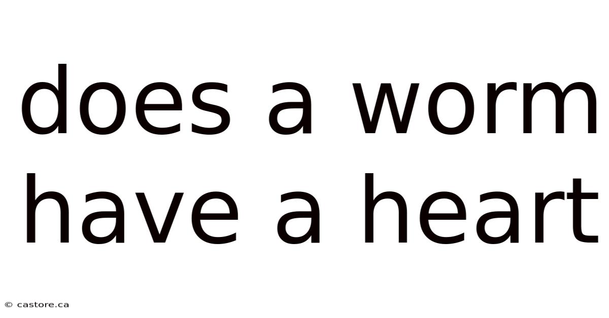 Does A Worm Have A Heart