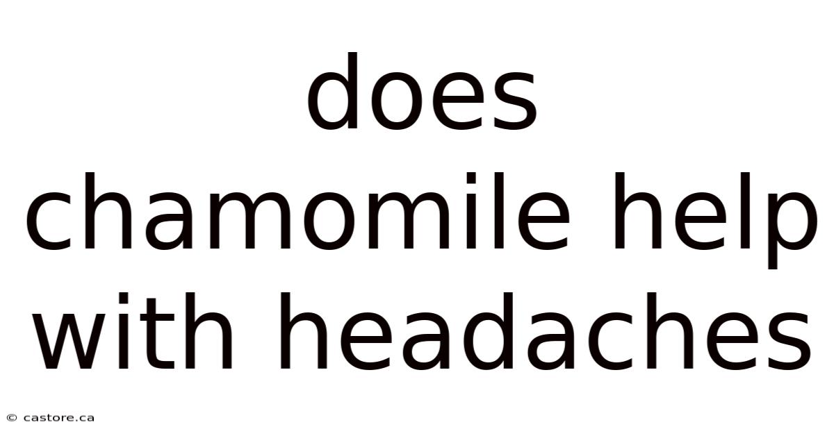 Does Chamomile Help With Headaches