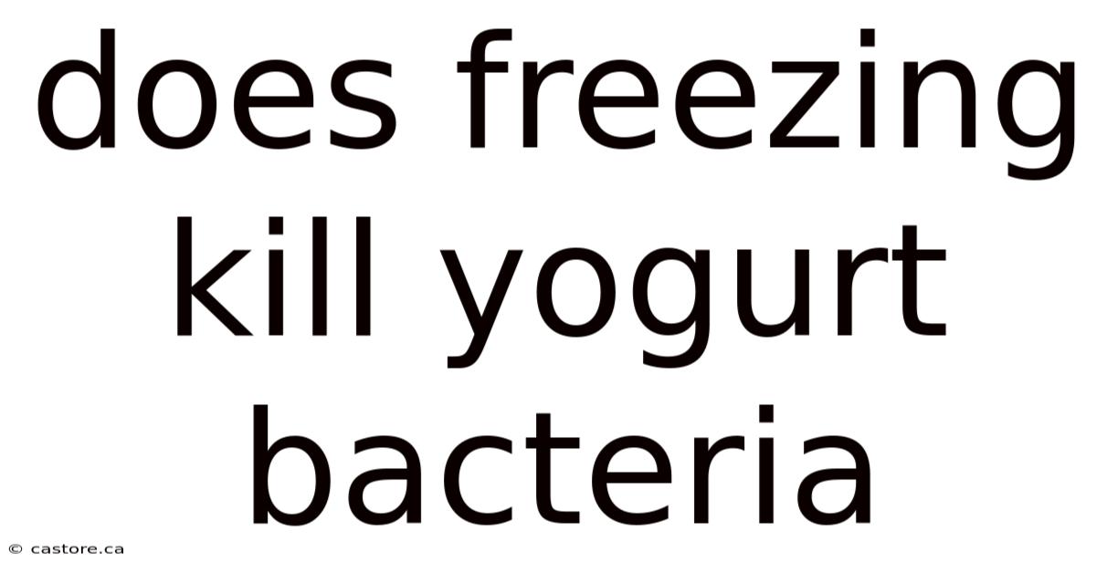Does Freezing Kill Yogurt Bacteria