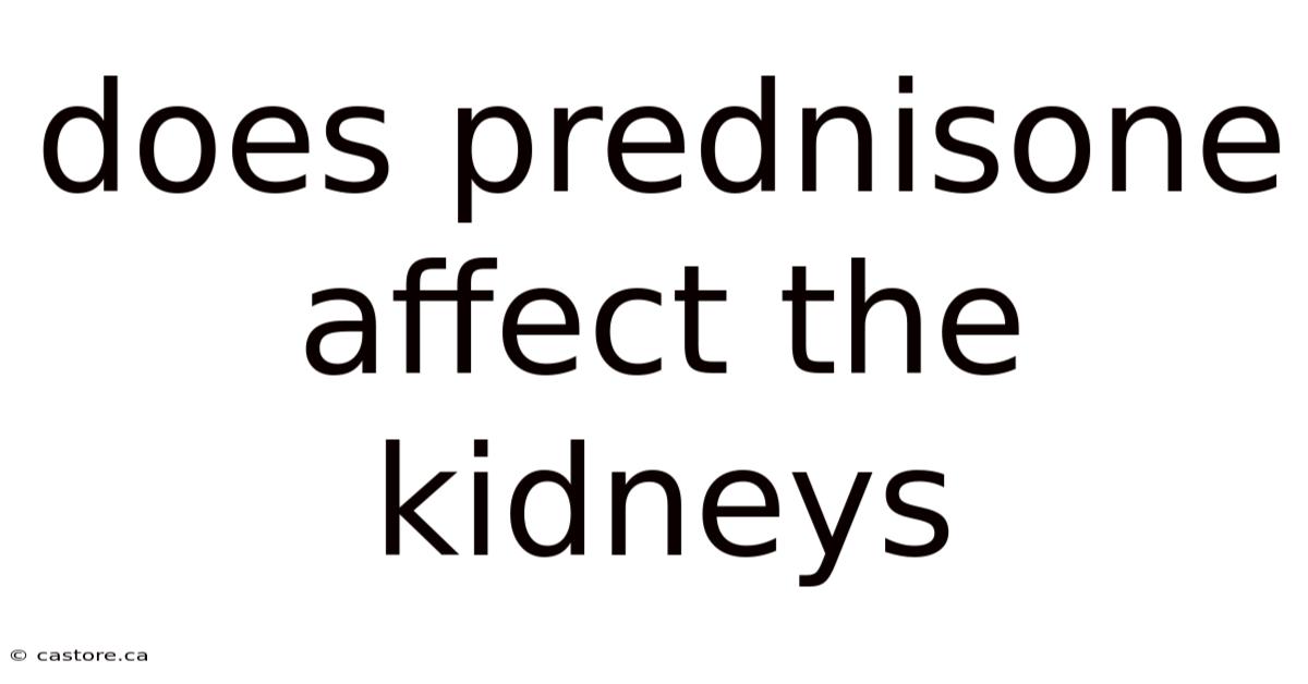 Does Prednisone Affect The Kidneys
