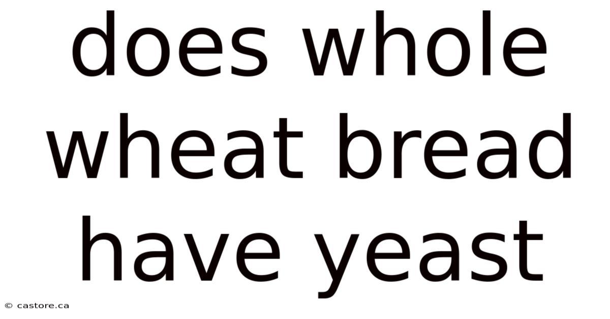 Does Whole Wheat Bread Have Yeast