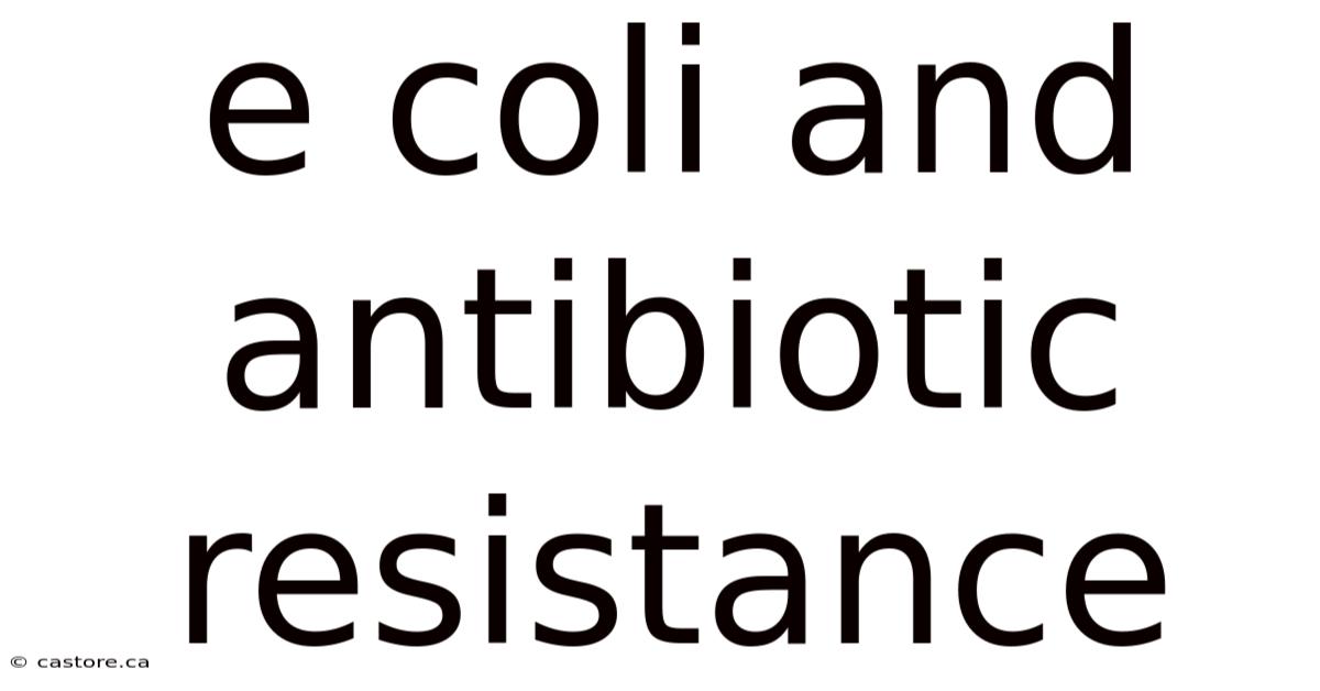 E Coli And Antibiotic Resistance